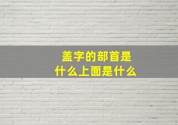 盖字的部首是什么上面是什么