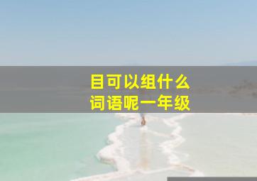 目可以组什么词语呢一年级