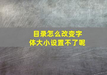 目录怎么改变字体大小设置不了呢