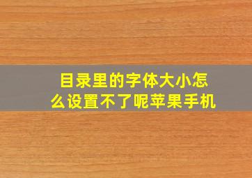 目录里的字体大小怎么设置不了呢苹果手机