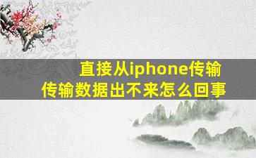 直接从iphone传输传输数据出不来怎么回事