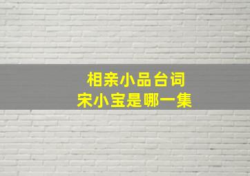 相亲小品台词宋小宝是哪一集