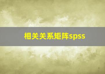 相关关系矩阵spss