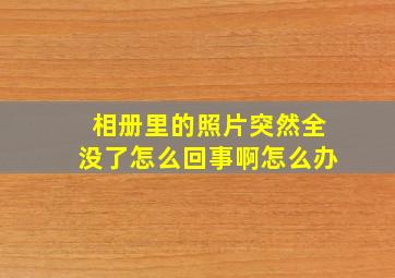 相册里的照片突然全没了怎么回事啊怎么办