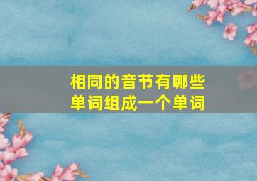 相同的音节有哪些单词组成一个单词