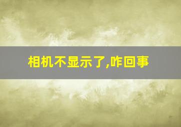 相机不显示了,咋回事