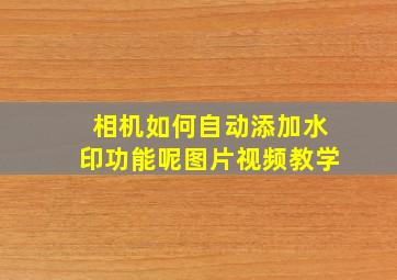 相机如何自动添加水印功能呢图片视频教学