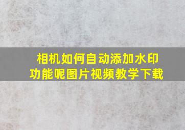 相机如何自动添加水印功能呢图片视频教学下载