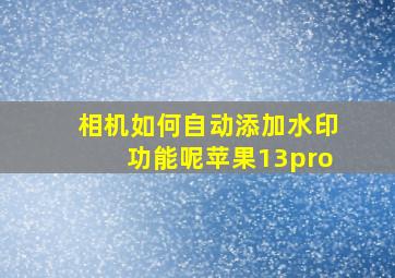 相机如何自动添加水印功能呢苹果13pro