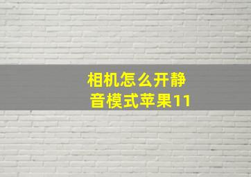 相机怎么开静音模式苹果11