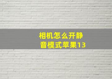 相机怎么开静音模式苹果13