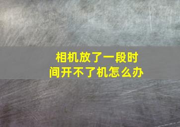 相机放了一段时间开不了机怎么办