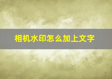 相机水印怎么加上文字