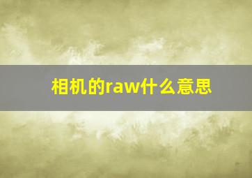 相机的raw什么意思