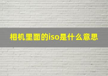 相机里面的iso是什么意思