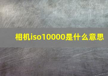 相机iso10000是什么意思