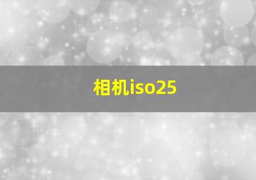 相机iso25