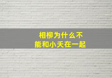 相柳为什么不能和小夭在一起