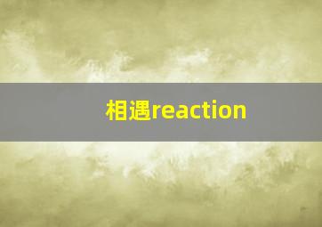 相遇reaction