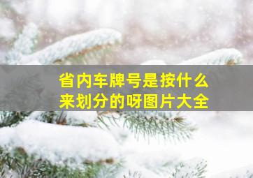 省内车牌号是按什么来划分的呀图片大全