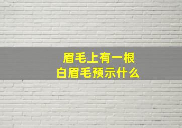 眉毛上有一根白眉毛预示什么