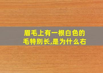 眉毛上有一根白色的毛特别长,是为什么右