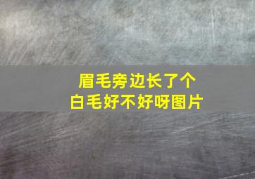 眉毛旁边长了个白毛好不好呀图片