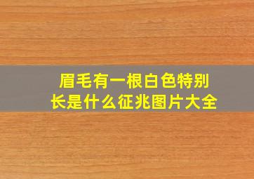 眉毛有一根白色特别长是什么征兆图片大全