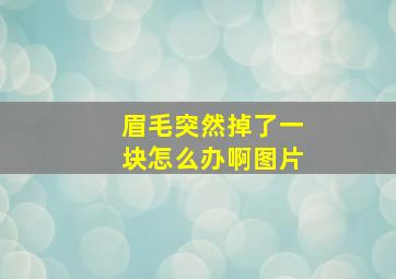 眉毛突然掉了一块怎么办啊图片