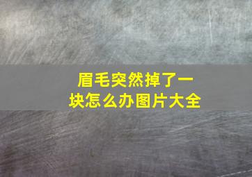 眉毛突然掉了一块怎么办图片大全