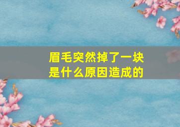 眉毛突然掉了一块是什么原因造成的