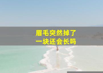 眉毛突然掉了一块还会长吗