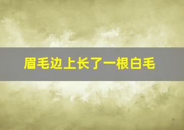 眉毛边上长了一根白毛