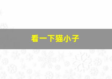 看一下猫小子