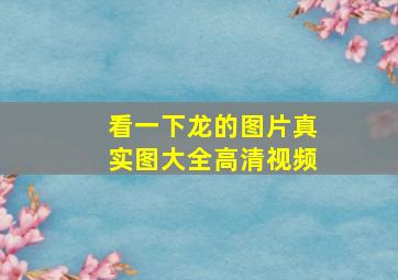 看一下龙的图片真实图大全高清视频