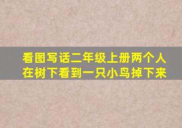 看图写话二年级上册两个人在树下看到一只小鸟掉下来