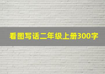 看图写话二年级上册300字