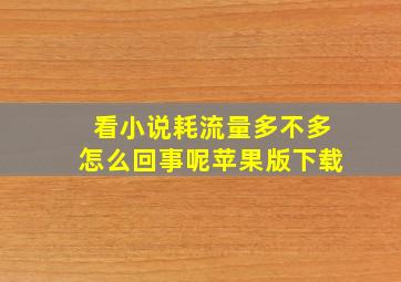 看小说耗流量多不多怎么回事呢苹果版下载