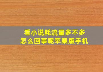 看小说耗流量多不多怎么回事呢苹果版手机