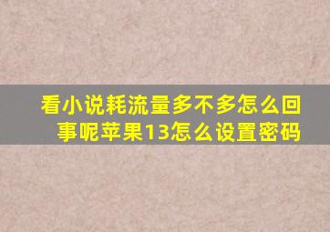 看小说耗流量多不多怎么回事呢苹果13怎么设置密码