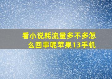 看小说耗流量多不多怎么回事呢苹果13手机