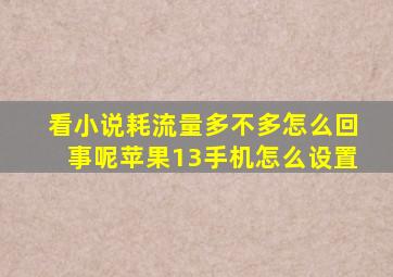 看小说耗流量多不多怎么回事呢苹果13手机怎么设置