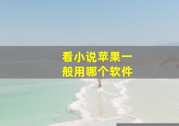 看小说苹果一般用哪个软件