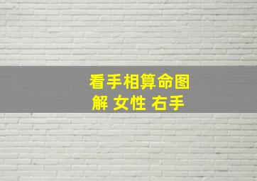 看手相算命图解 女性 右手