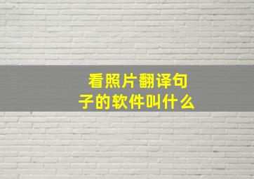 看照片翻译句子的软件叫什么