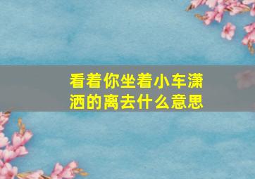 看着你坐着小车潇洒的离去什么意思