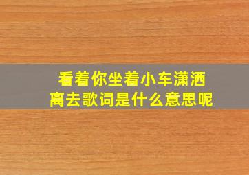 看着你坐着小车潇洒离去歌词是什么意思呢