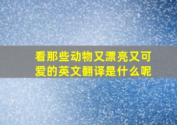 看那些动物又漂亮又可爱的英文翻译是什么呢