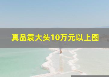 真品袁大头10万元以上图