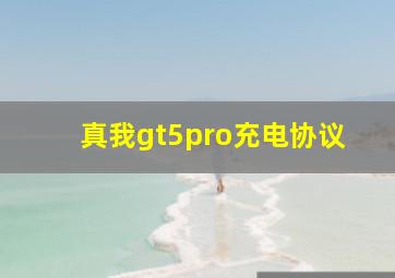 真我gt5pro充电协议